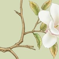 五行穿衣每日分享:2022年5月5日立夏穿什么颜色提运