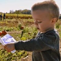 2022属虎男孩分数高的名字