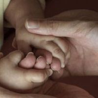 虎宝宝乳名大全2022洋气