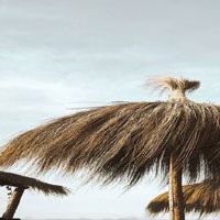 形容技术很菜的游戏ID