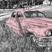 高端洗车店名字大全 有创意的洗车店名字