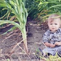 6月10日新生女宝宝起名 文雅大气的女孩名字