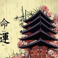 梅花易数算姻缘发生的時间！