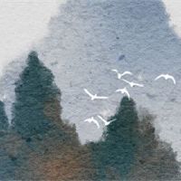 第一天和五十五年的原因是什么？