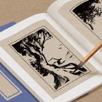 电子商务公司名字好听洋气 招财进宝的公司名字