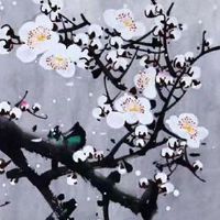 倒顺子765车牌号 车牌号码的万事如意数