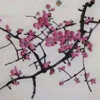 车牌号顺子号和豹子号哪个好 城市有限行车牌的尾号讲究