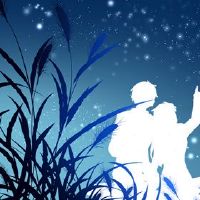 2022年情人节桌子白人鸽子独家