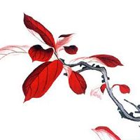 本命年护身符丢了怎么办 护身符丢了替本命年人挡灾