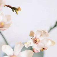 正月十五元宵节什么时候接神 都请的是什么神