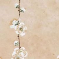 正月十五元宵节迎紫姑 走百病 捏生肖 风俗大盘点