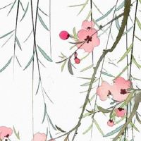 好听的财务公司名称 新企业取名热门旺运