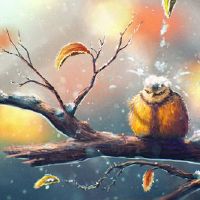 2022年5月6日出行吉利吗 农历四月初五今日宜忌分析