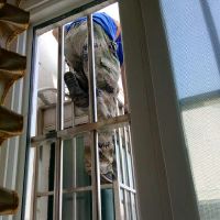 大家都来看看格力空调智风系列怎么样？知乎网友分析评测可以看看！