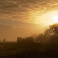 我可以在2022年锻炼祝福吗？