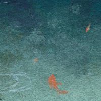 丑陋的男人和女人在一起的女人？五条土壤是合适的