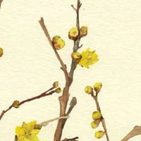 正月十六扛笆斗 舞火把 送牛桩子 民俗活动集锦