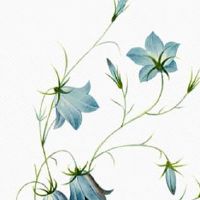 带888的车牌号值钱吗 助运的车牌字母数字