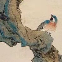 越老越有钱的女人 猪蛇羊一生财相伴