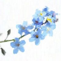 本命年怎么改善运气 佩戴关公财源滚滚