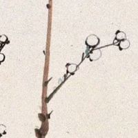 鑫字最佳组合公司名字 简约雅静的企业取名