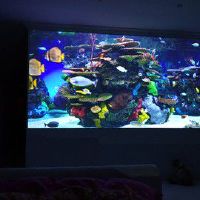 分享你们入手坚果x3和坚果u1区别有什么？使用半年分享感受！