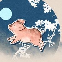 20022年身体2022猪