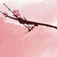 2022年手机号属猪幸运号码是什么数字 生肖猪选吉利号