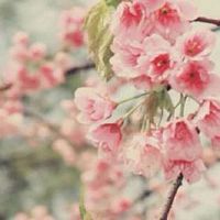 属羊女手机号最吉利的数字是什么 带财的热门号码