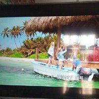 纠结良久TCL 55q1怎么样？怎么样，究竟好不好呀？老铁了解！