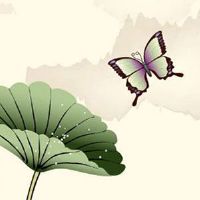 百元豹子号回收价格表 数理吉祥大气的车牌号码