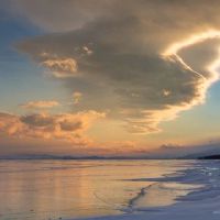 寅 日 日 2022 years old