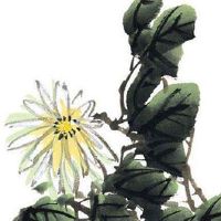 烧烤店起名好听的店名大全 吉利招财的店铺取名推荐