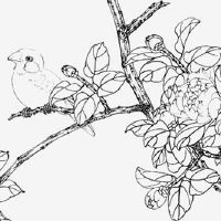 目前最火的烧烤店名是什么 旺运势的店铺起名大全