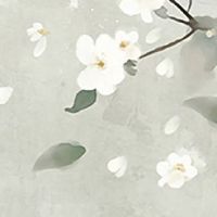 婚姻中上等婚是什么意思 传统上上等婚的说法