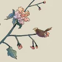 2022年属虎女本命年戴什么好 今年属虎女佩戴水晶提升好运