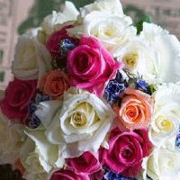 发小订婚送什么礼物好 发小订婚收到珍珠福气满满