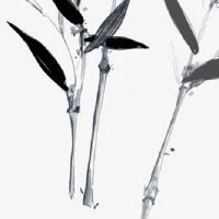 工程机械租赁公司名字大全 新秀大气的企业取名