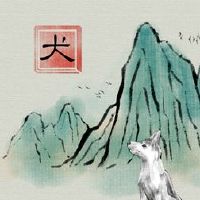 82狗女人的生活多久，财富担心什么？