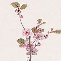 车牌号3连号666价格表 大吉车牌号码数字集锦