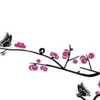 车牌靓号大全及价格表 查询车牌号码价位方法