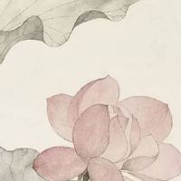 倒顺子车牌号寓意 招财的车牌号码数字