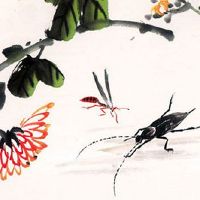 车牌豹子号价格表 888车牌号最旺财