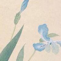 属虎人几点出生最好命 17点出生可成好领导