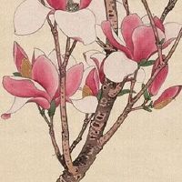 好听个性日用品店名 洋气店铺起名推荐