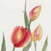 本命年买房子是喜事吗 本命年买房注意事项