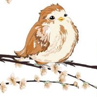 本命年忌火是什么意思 本命年戴桃木手串能提运