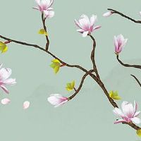 八字喜用神水的人聪明 喜用神为水多佩戴转运珠