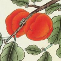 2022年不顺的日柱 庚子日柱整体运势受到影响