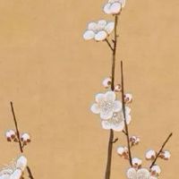 霸气农业公司名称大全 企业招财取名秘籍解读